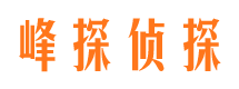 平凉市场调查